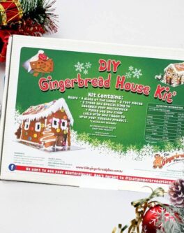 DIY Gingerbread House Kits a fun creative family tradition
