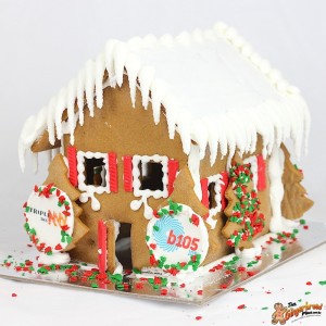 Gingerbread House for 2Day FM