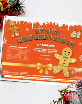 DIY Gingerbread Man kit